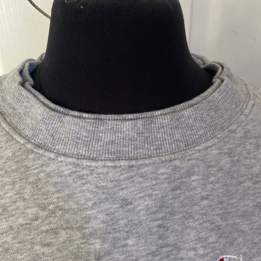 Champion Gray Cropped Tie Front Hoodie - Picture 4 of 8
